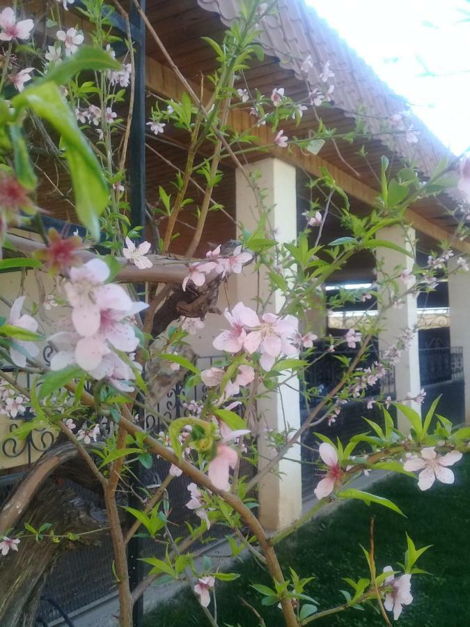 Shymhostle Hostel ชุมเกนท์ ภายนอก รูปภาพ